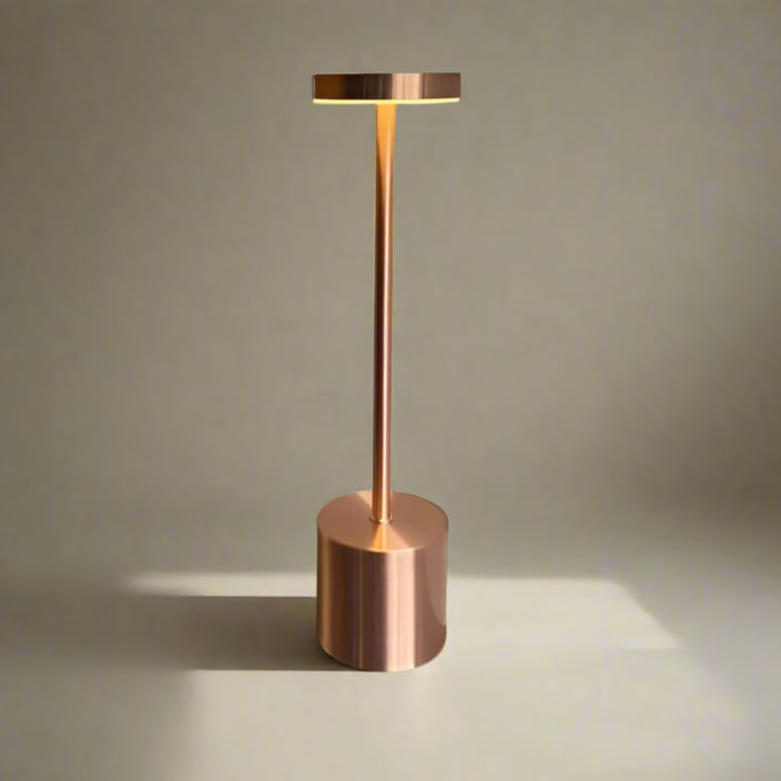 Long Neck Metal Touch Sense LED Lamp